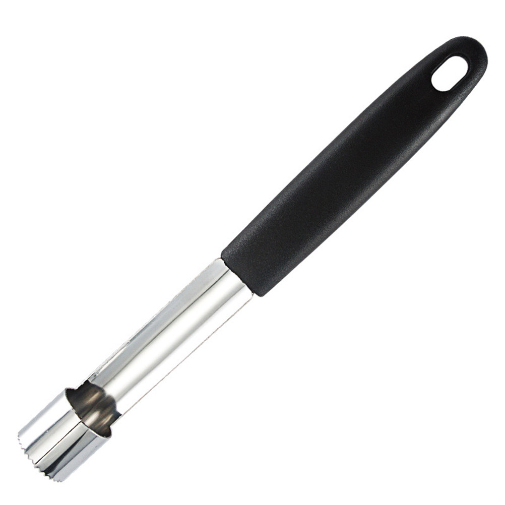 2 piezas de herramienta para q - Cherry Pitter Tool reseña y precio