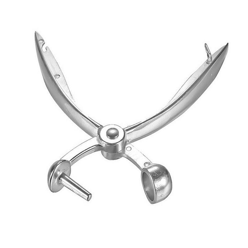 1 ud. Descorazonador de cereza - Cherry Pitter Tool reseña y precio
